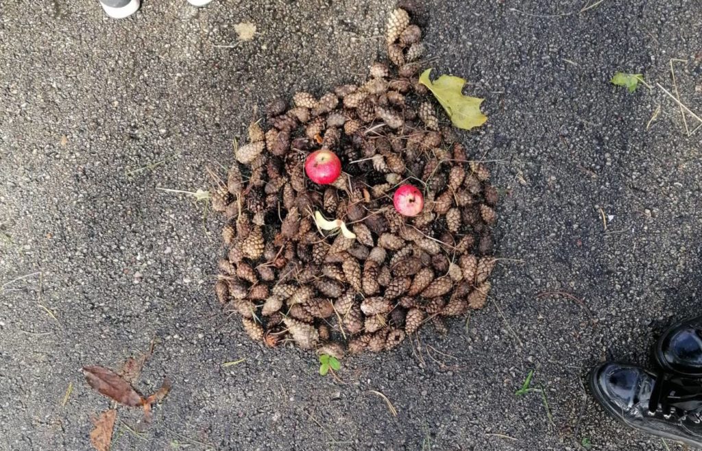 kompozīcija