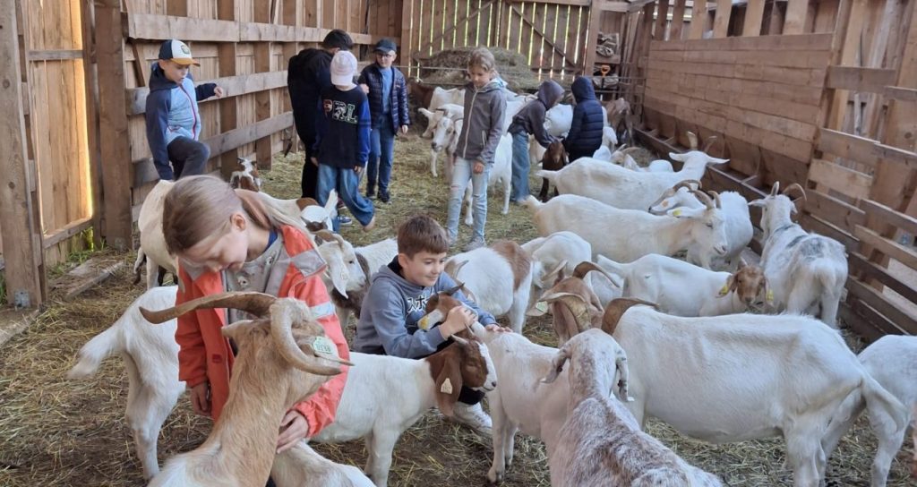 2.klases "Mazsāliju" saimniecībā