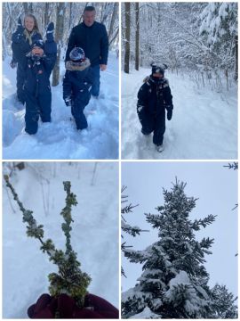 fotokolāža no pastaigas pa mežu