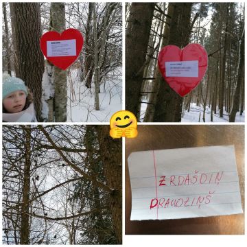 fotokolāža no pastaigas pa mežu