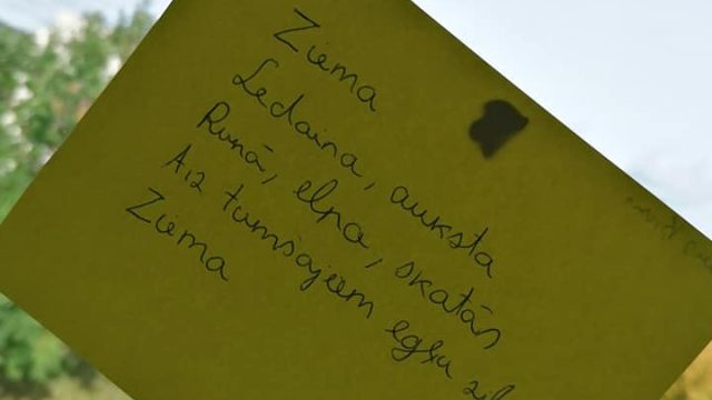 dzeja