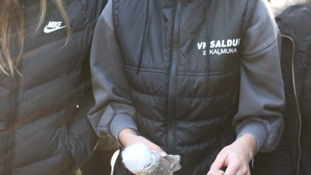atrodi to, kaut ko