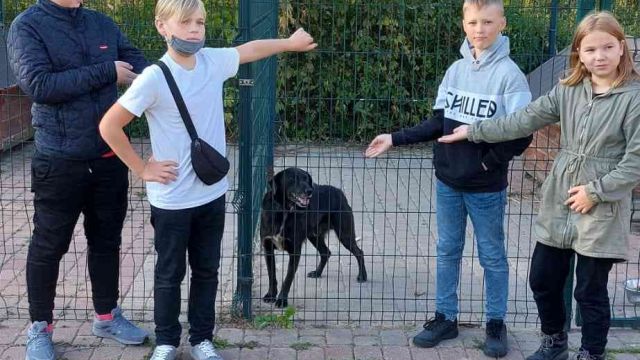 skolēni dzīvnieku patversmē