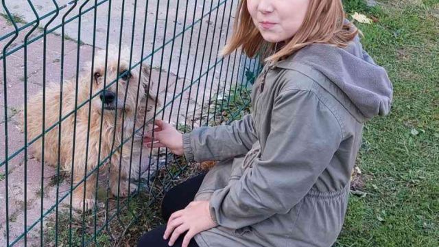 Meitene pie sunīša