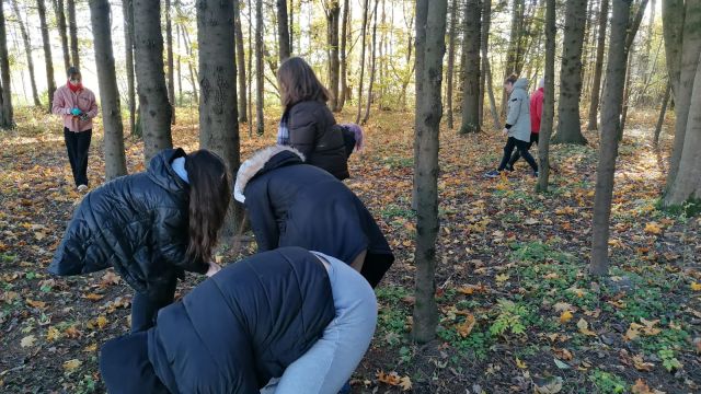 skolēni lasa čiekurus