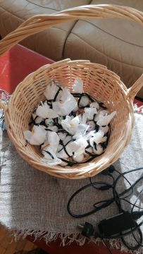 sasaiņōtās konfektes