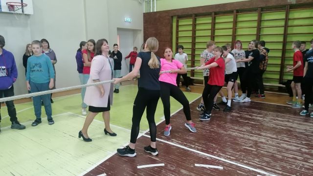 virves vilkšanas sacensības