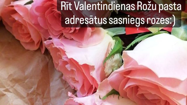 rožu pasts