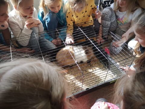 Lieldienu aktivitātes