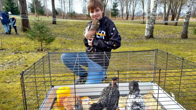 Lieldienu aktivitātes