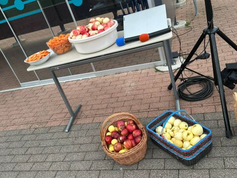 Ģimeņu sporta diena