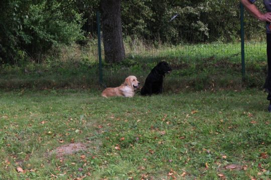 Skolas pārgājiens "Pasaule bez briesmām"