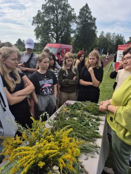 Skolas pārgājiens "Pasaule bez briesmām"