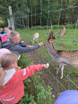 2.klases "Mazsāliju" saimniecībā
