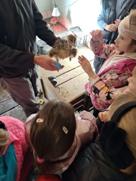 2.klases "Mazsāliju" saimniecībā