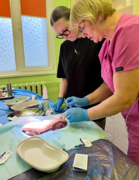 Skolēni apgūst medicīnas pamatus