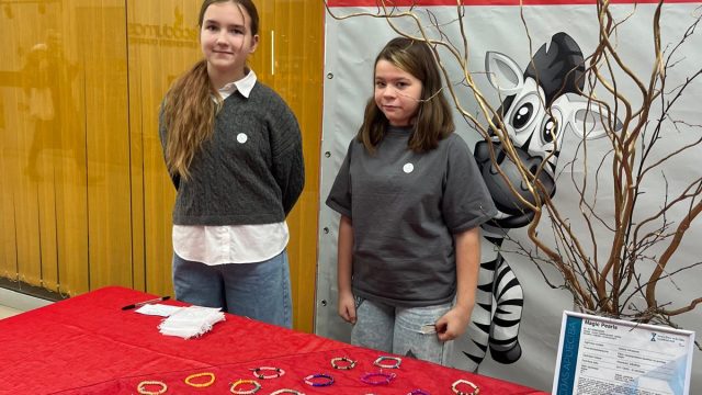 Skolēnu mācību uzņēmumi.