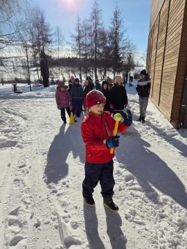 Sniega diena